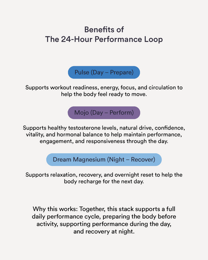 The 24-Hour Performance Loop 11